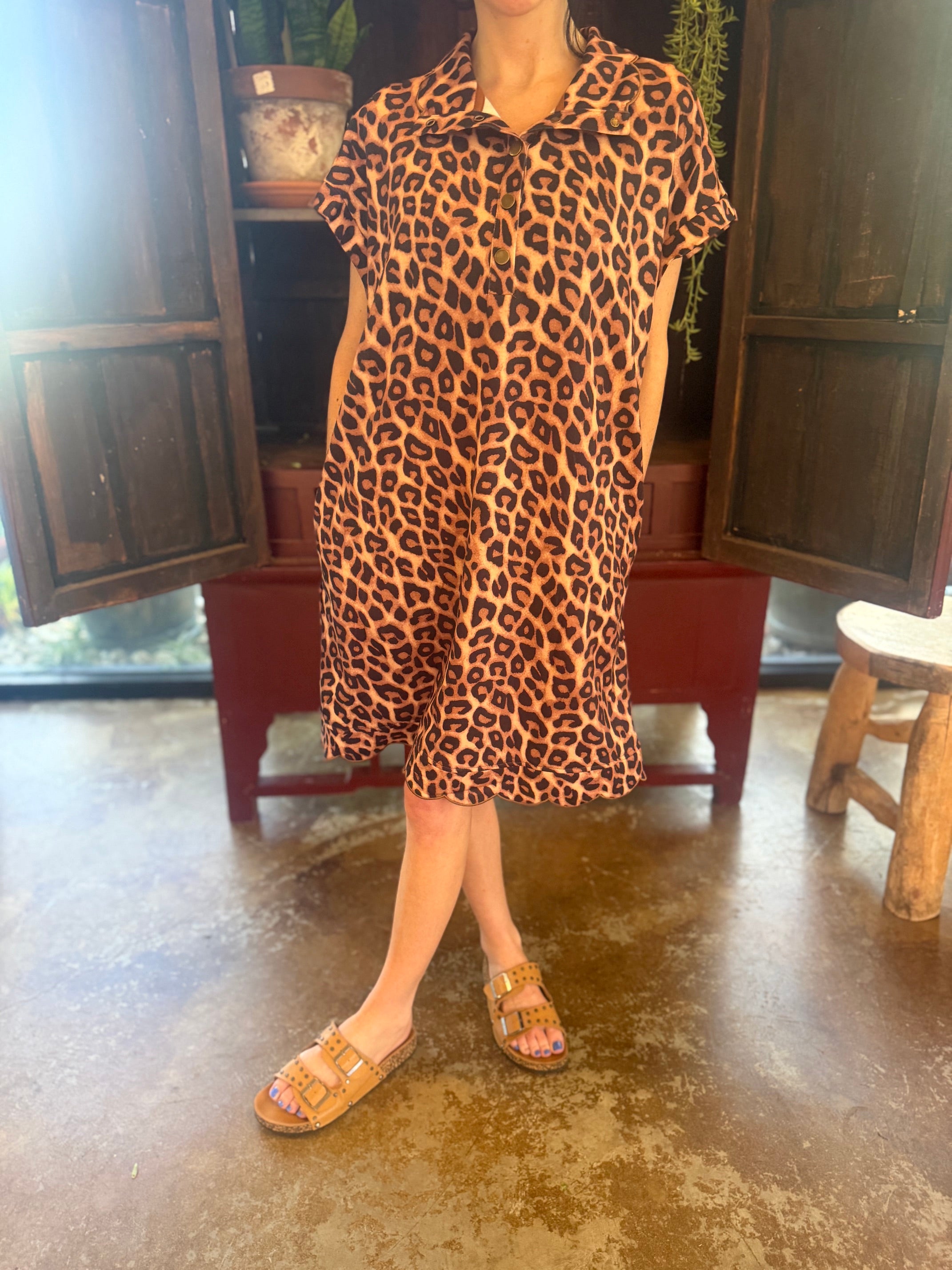 Cheetah Dress